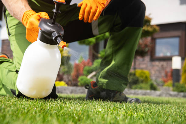 Best Emergency Pest Control  in Yellow Springs, OH