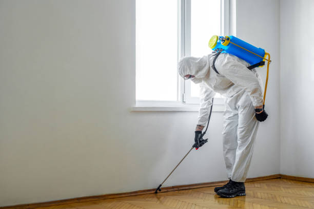 Best Wildlife Control Services  in Yellow Springs, OH