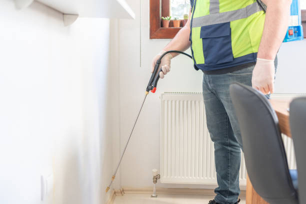 Best Ant Control Services  in Yellow Springs, OH