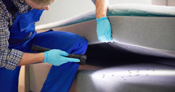 Best Best Pest Control Near Me  in Yellow Springs, OH