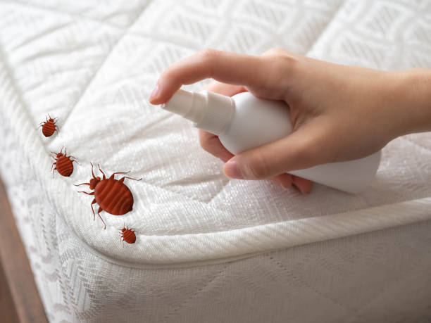 Best Residential Pest Control  in Yellow Springs, OH