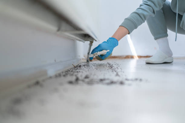 Best Commercial Pest Control Services  in Yellow Springs, OH